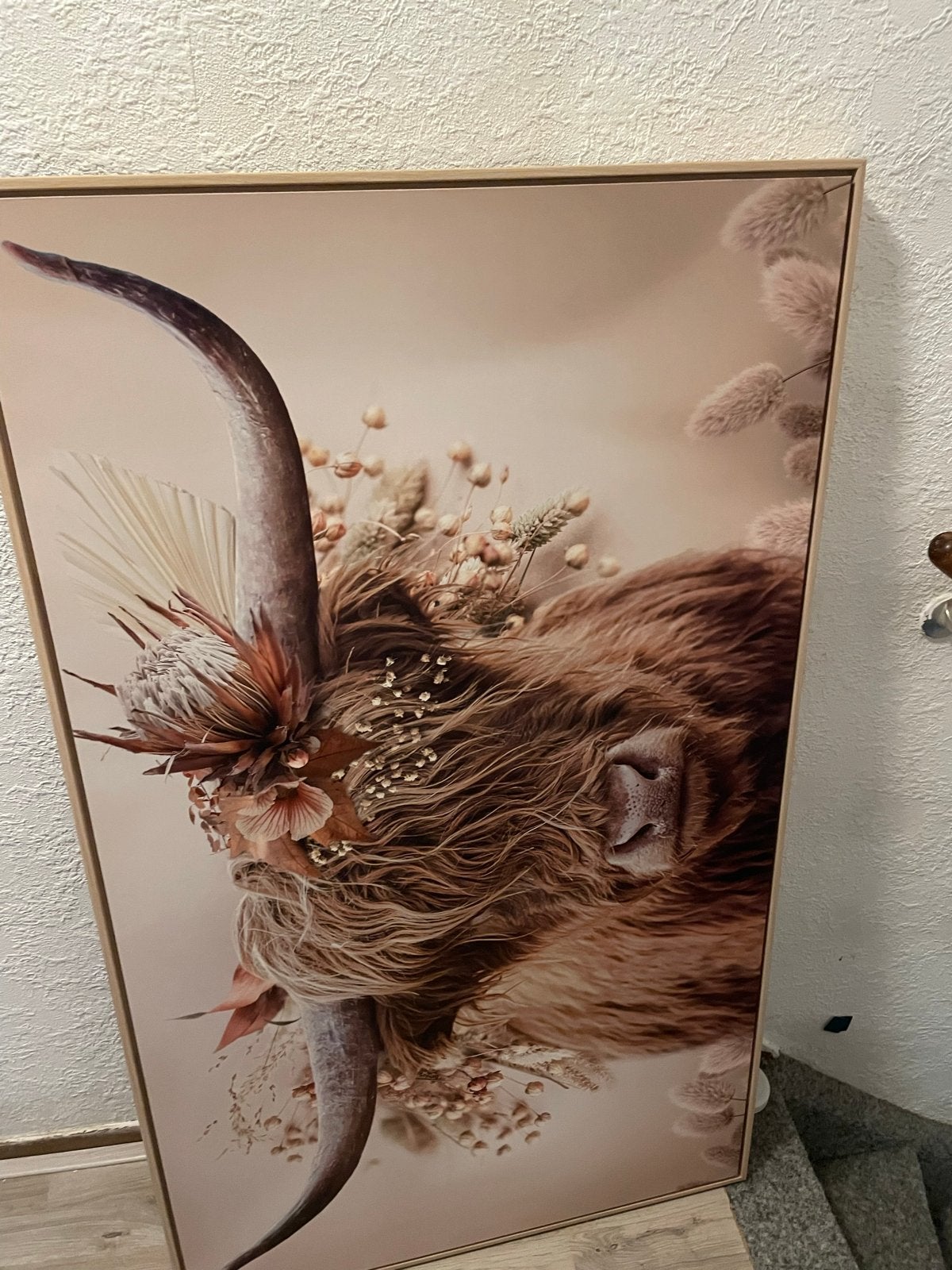 Mooi schilderij 70x118 cm - Schotse Hooglander, Ophalen, Op houten frame, Dieren