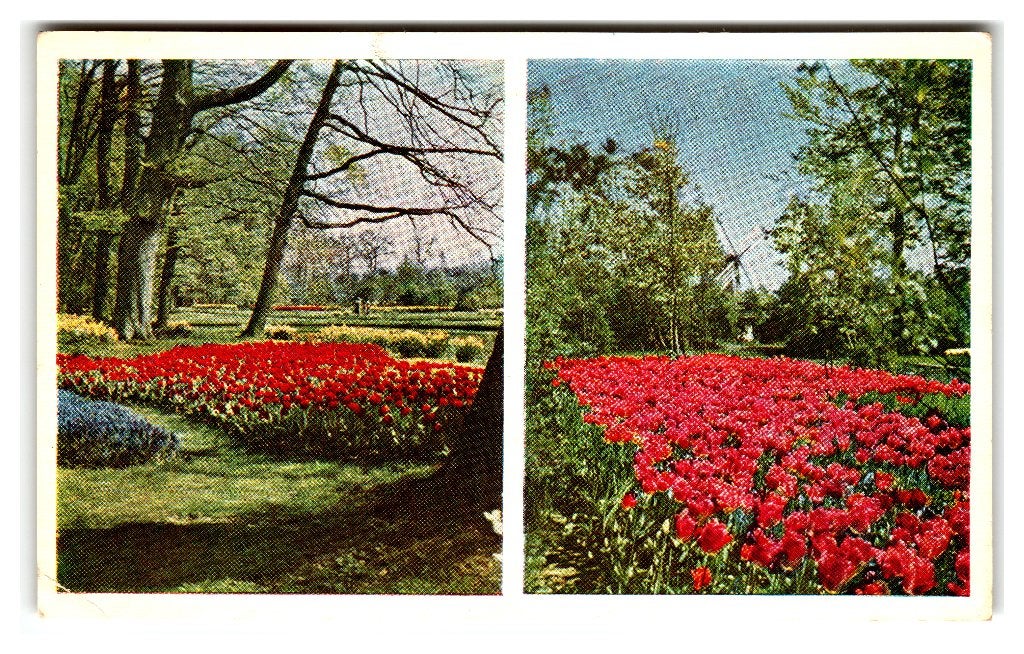 Lisse, Keukenhof, Verzenden, 1960 tot 1980, Gelopen, Zuid-Holland