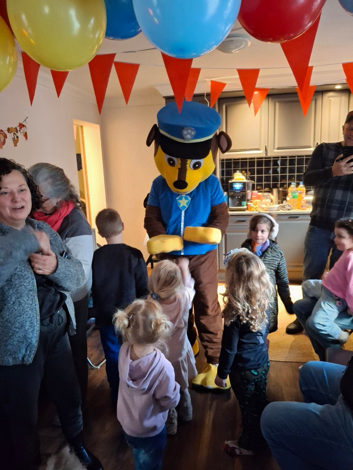 Paw patrol Chase mascotte te huur, Hobby en Vrije tijd, Ophalen, Zo goed als nieuw, Overige
