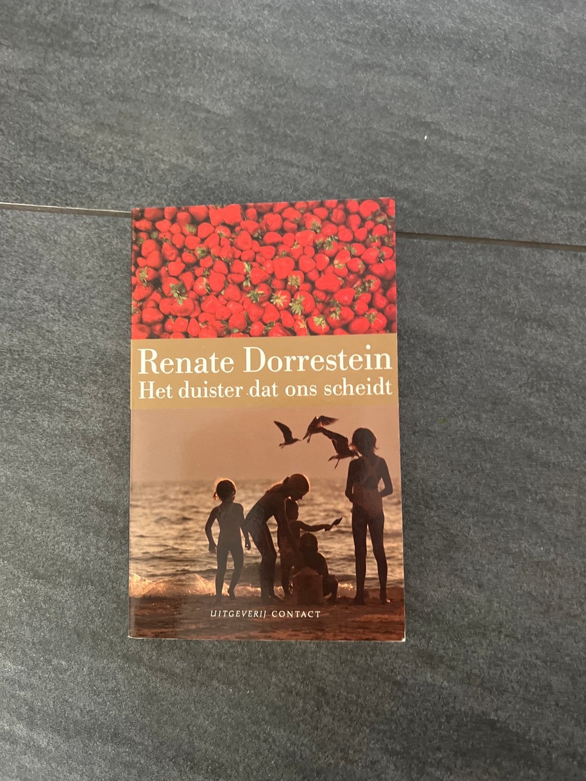 Het duister dat ons scheidt - Renate Dorrestein, Ophalen of Verzenden, Gelezen