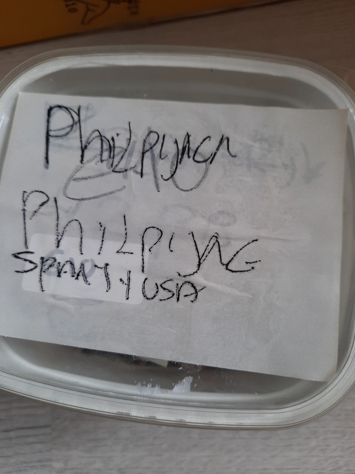 Grote verzameling Filipijnse postzegels, Postzegels en Munten, Verzenden