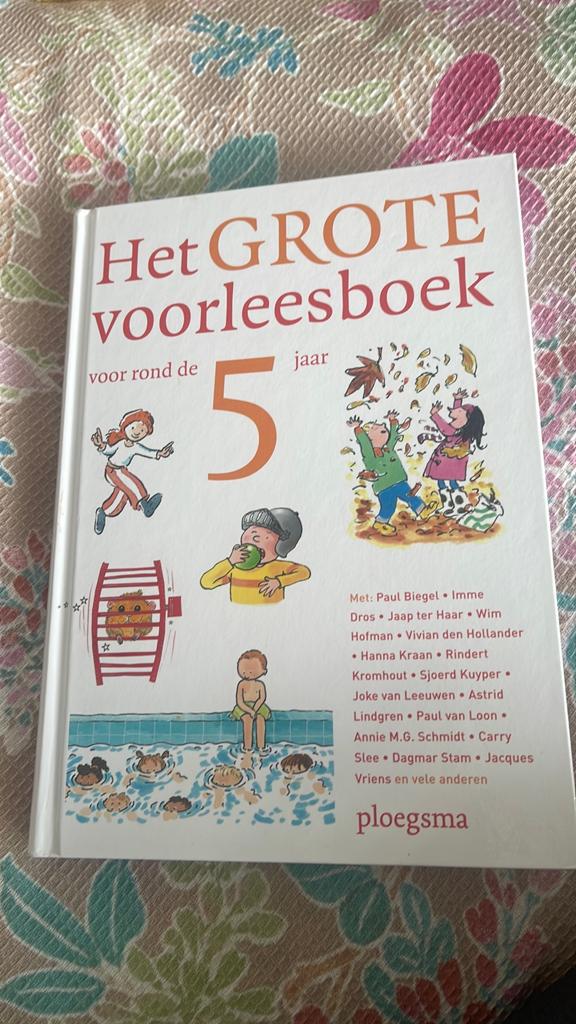 Het Grote Voorleesboek voor rond de 5 jaar - Ploegsma, 5 of 6 jaar, Fictie algemeen, Jongen of Meisje, Ophalen of Verzenden