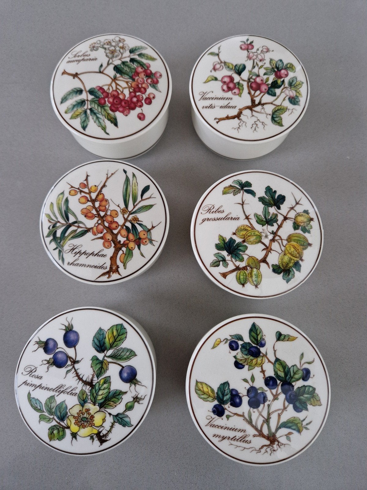 Complete Set van 6 dekseldoosjes Villeroy en Boch Botanica, Ophalen of Verzenden, Zo goed als nieuw, Porselein, Overige stijlen