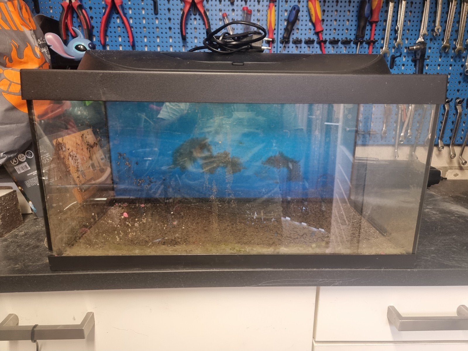 Juwel Aquarium, Ophalen, Gebruikt, Juwel, Inclusief deksel