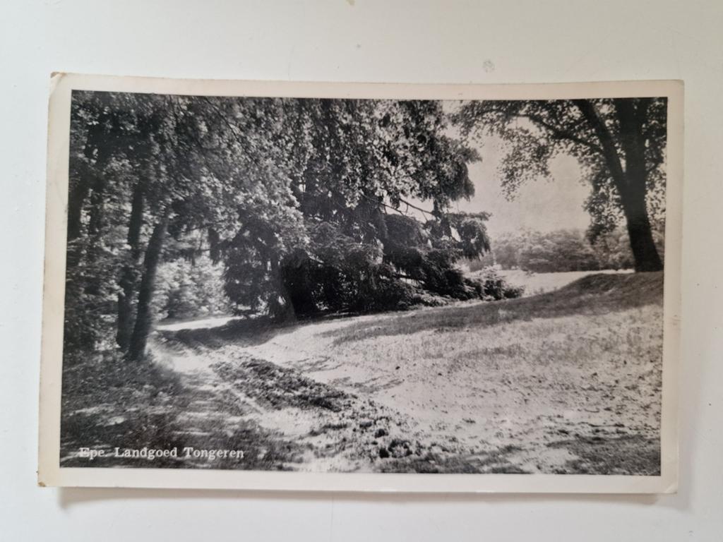 Ansichtkaart Epe - Landgoed Tongeren (Gelopen 1952), Ophalen of Verzenden, 1940 tot 1960, Gelopen, Gelderland