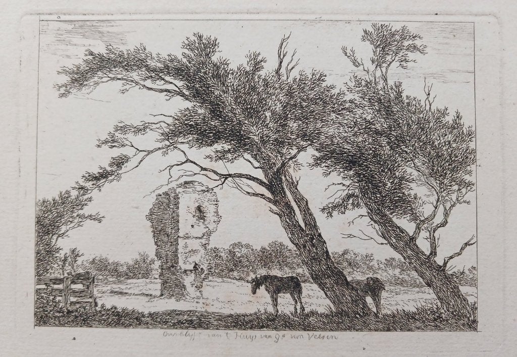 Overblijfselen huis Gerard van Velsen Hermanus van Brussel, 1800 - 1899, Verzenden, Architectuur, Gravure
