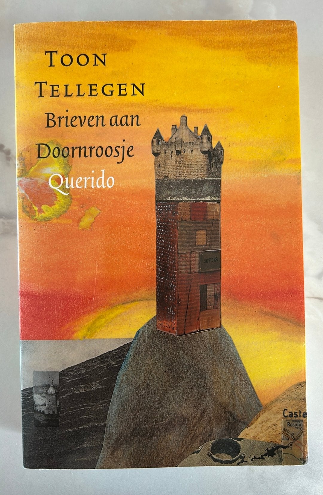 Toon Tellegen - Brieven aan Doornroosje, Boeken, Literatuur, Ophalen, Gelezen, Toon Tellegen