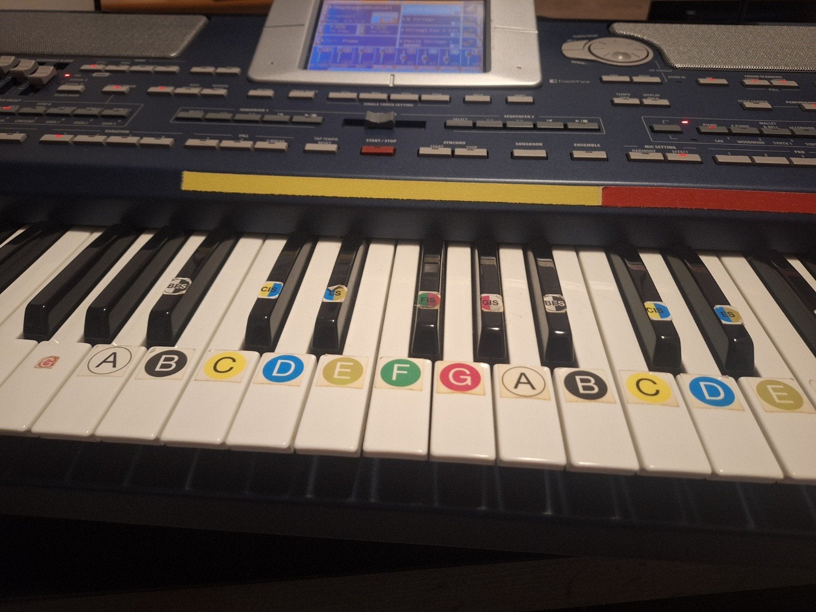 Korg Pa800 Professional Arranger Workstation, Muziek en Instrumenten, Ophalen, Korg, Aanslaggevoelig, 61 toetsen