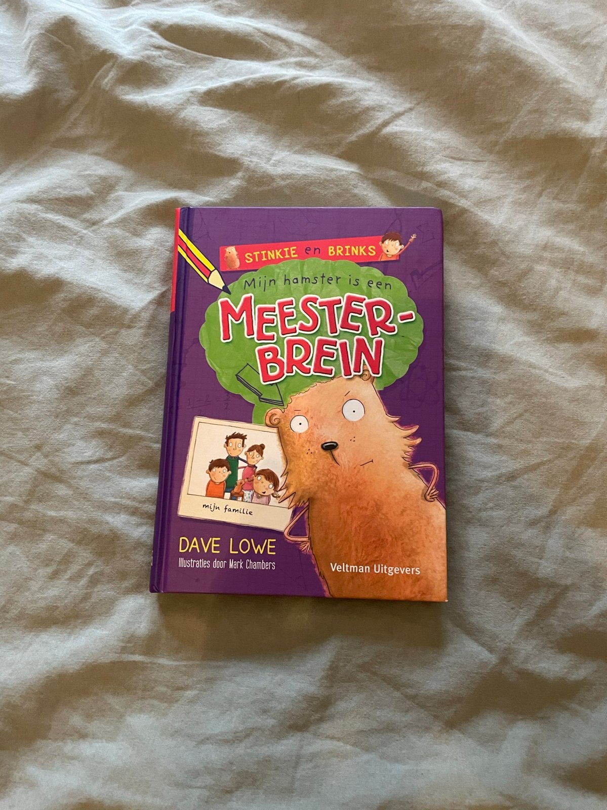 Stinkie en Brinks: Mijn hamster is een meesterbrein, Boeken, Kinderboeken | Jeugd | onder 10 jaar, Ophalen of Verzenden, Zo goed als nieuw