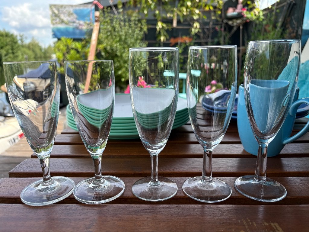 Champagne thee drinkglazen  kopjes borden  bestek camping, Ophalen, Gebruikt, Overige typen