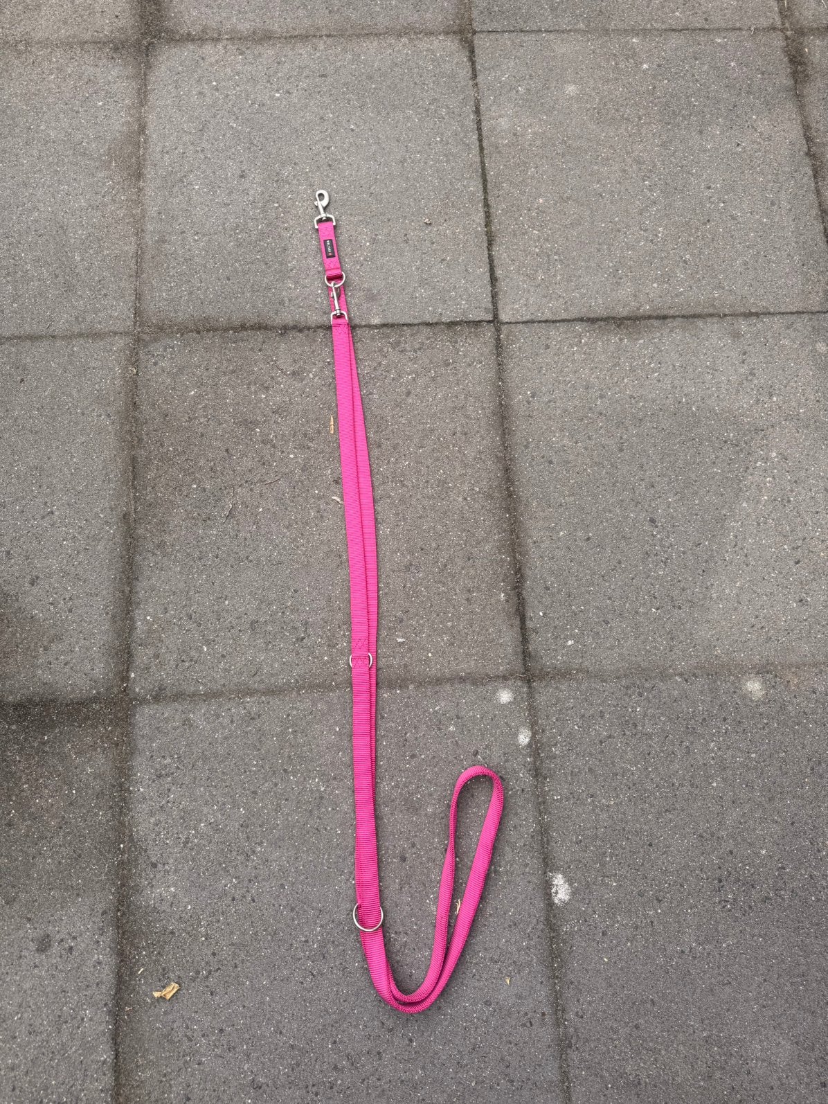 Wolters Honden lijn uitlaat riem, Ophalen of Verzenden, Zo goed als nieuw