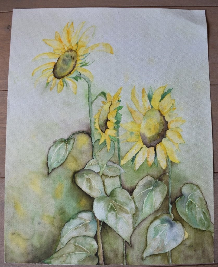 Zonnebloemen aquarel op papier, 65 x 51 cm, Realistisch, Aquarel, Handgeschilderd, Papier