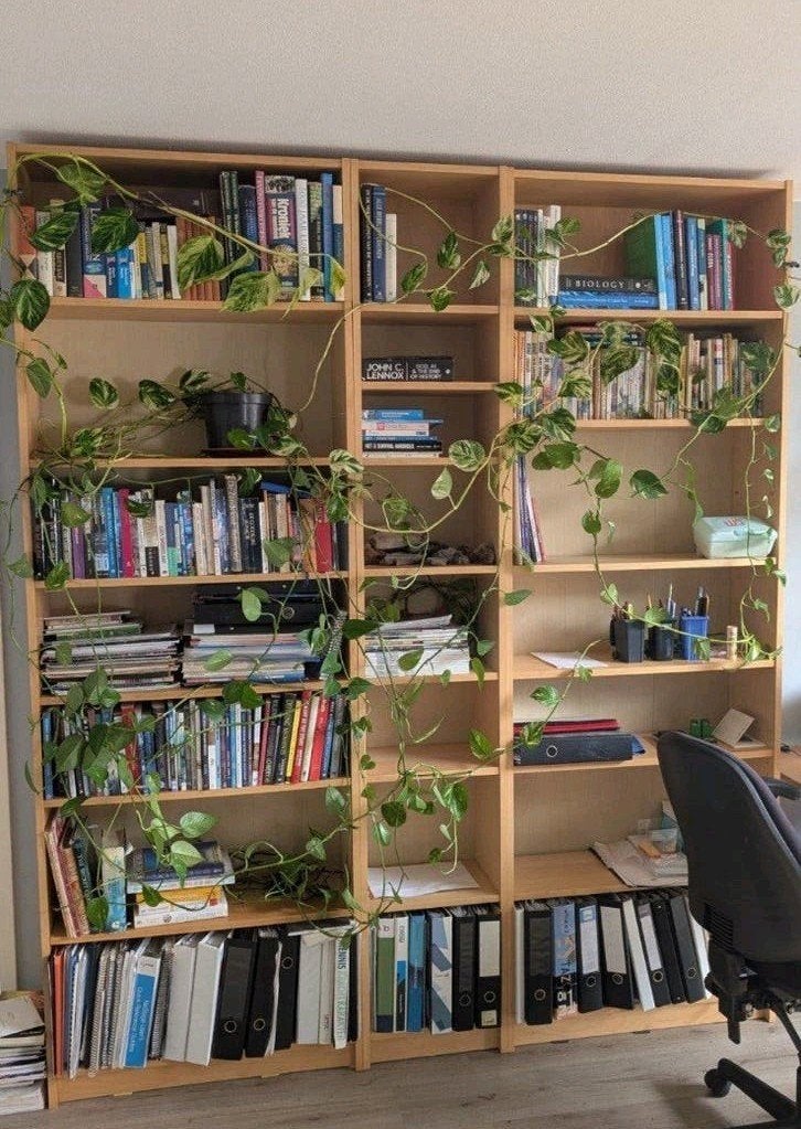 IKEA Billy Boekenkast 236 cm Licht Eiken | 2st + Tussenstuk, Ophalen, Met plank(en), 200 cm of meer, Zo goed als nieuw