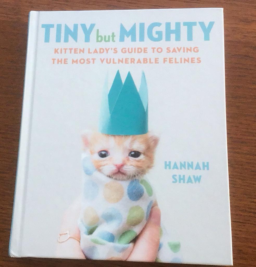 Tiny but Mighty, Ophalen of Verzenden, Nieuw, Katten