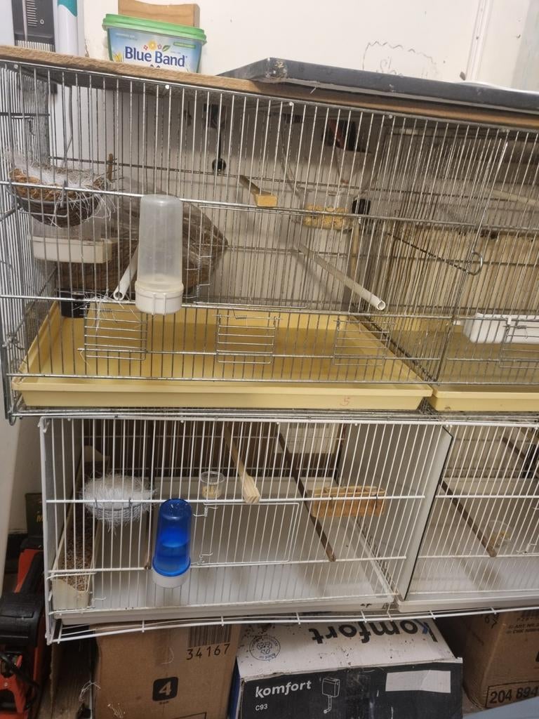 2 broed hokenken te koop.maten zijn 120 x40 aalebijde  netje, Dieren en Toebehoren, Vogels | Hokken en Kooien, Ophalen, Hout, Broedkooi of Kweekkooi