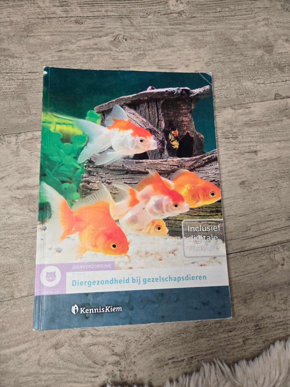 Diergezondheid bij gezelschapsdieren niveau 3/4, Boeken, Studieboeken en Cursussen, Gelezen, Verzenden, Kenniskiem, MBO