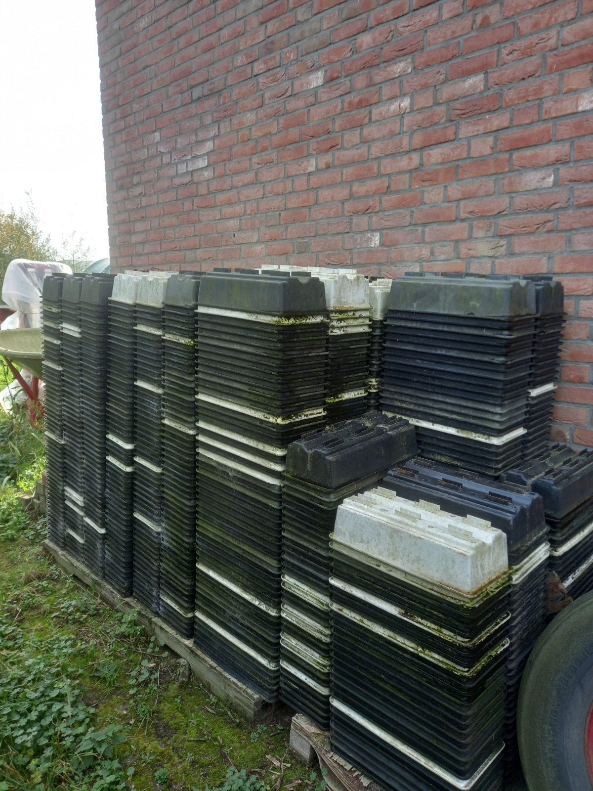 aardbeien bakken, Ophalen of Verzenden, Gebruikt, Kunststof