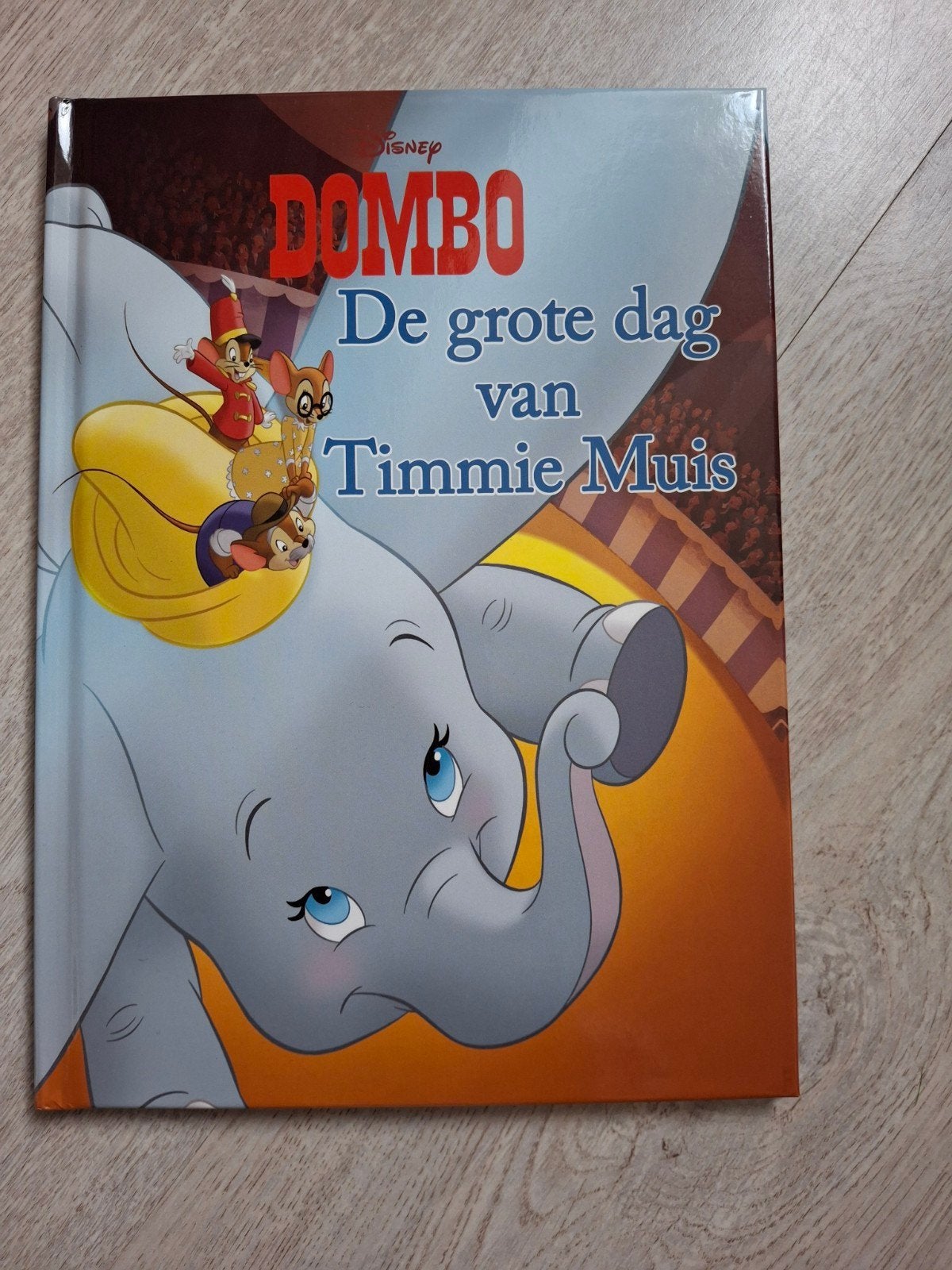 Disney Dombo: De grote dag van Timmie Muis, Jongen of Meisje, Ophalen of Verzenden, Zo goed als nieuw, Voorleesboek
