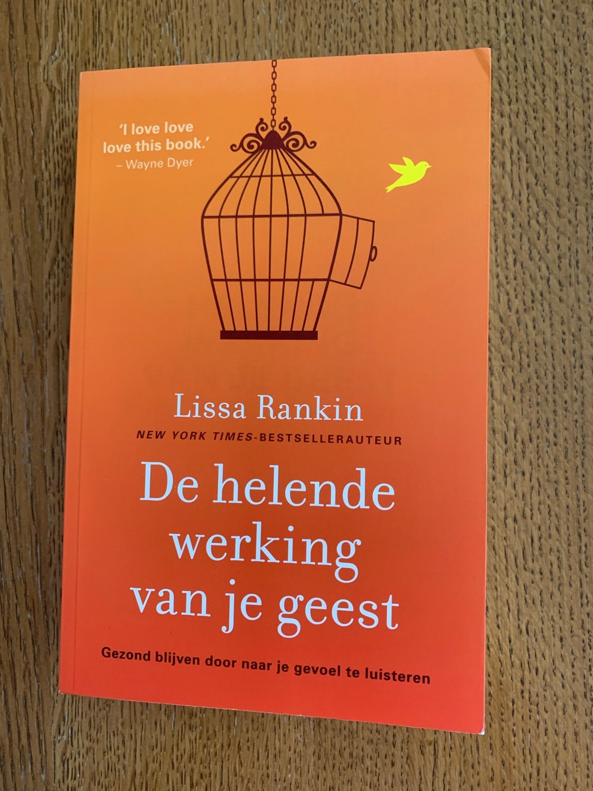 De helende werking van je geest - Lissa Rankin, Ophalen of Verzenden, Gelezen, Gezondheid en Conditie