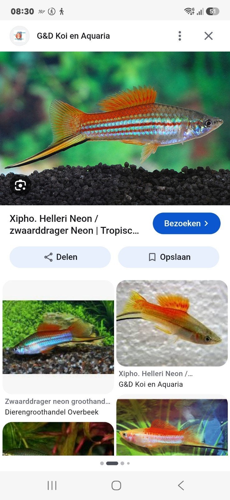 gezocht zwaard dragers en ballon mollys, Vis