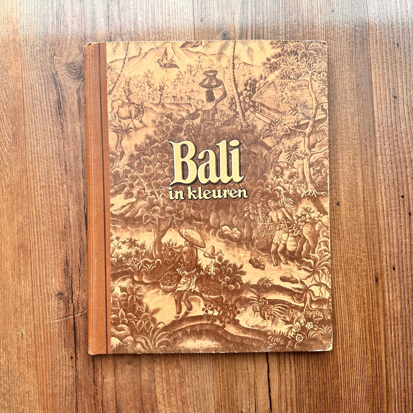 Bali in kleuren - Douwe Egberts album, Ophalen of Verzenden, Gelezen