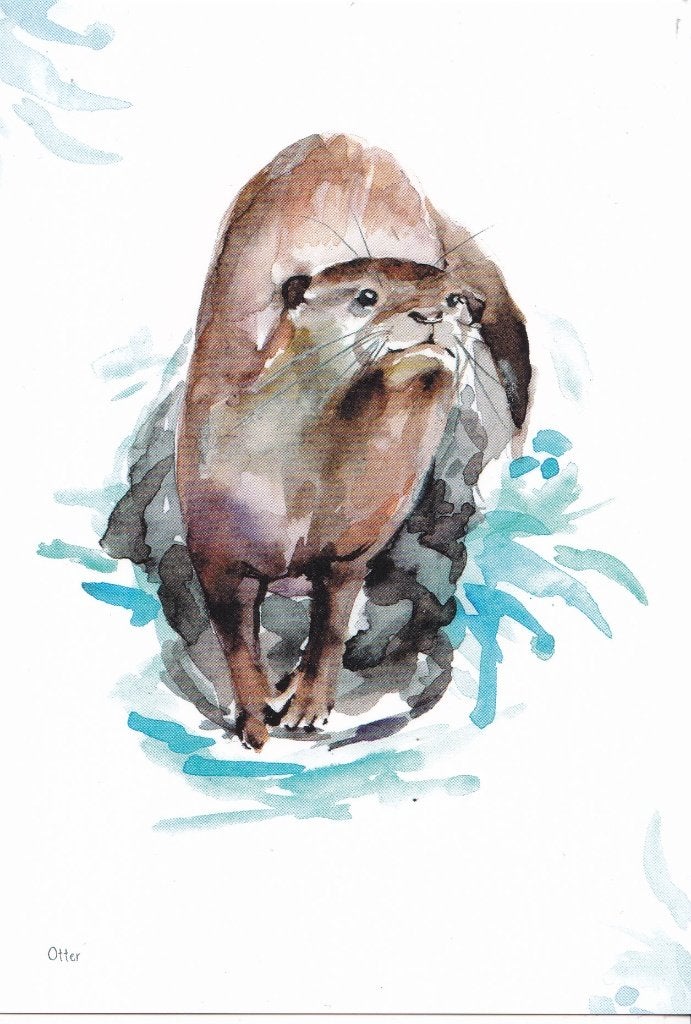 Michelle Dujardin - De Onlanden – otter, Verzenden, 1980 tot heden, Ongelopen, Natuur