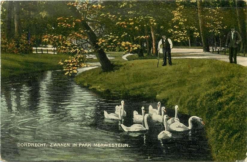380-926-023 Dordrecht Park Merwestein, Verzenden, Voor 1920, Zuid-Holland