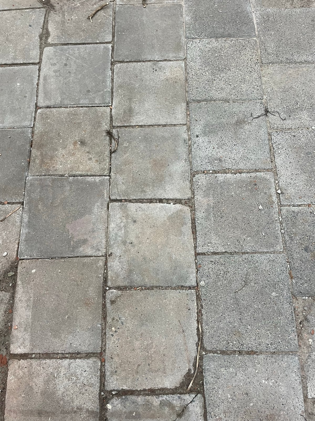 Gratis af te halen stoeptegels, Ophalen of Verzenden, Gebruikt, Beton, Terrastegels
