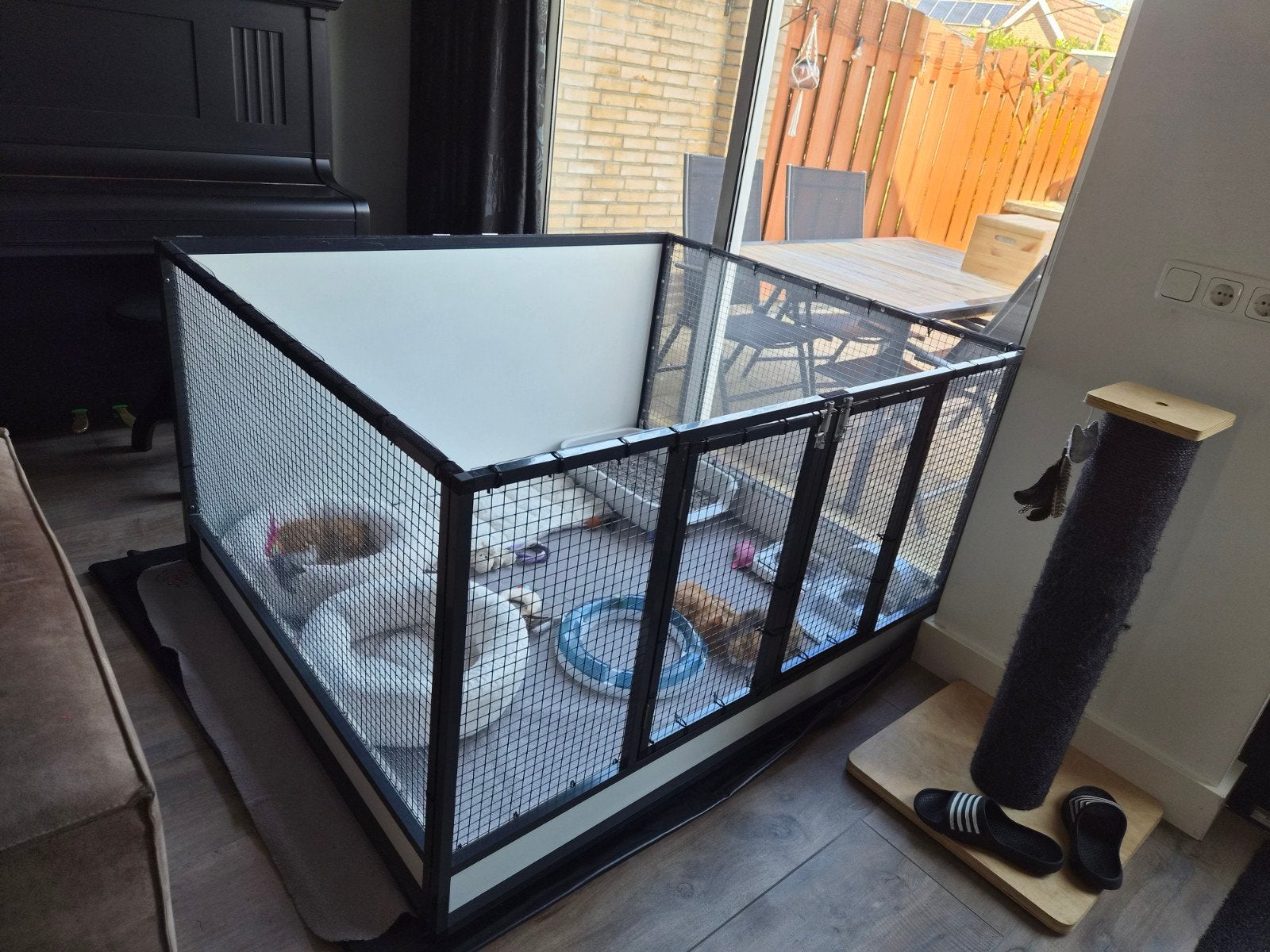 Kittenren te koop, Ophalen, Zo goed als nieuw, 110 cm of meer, 65 tot 100 cm
