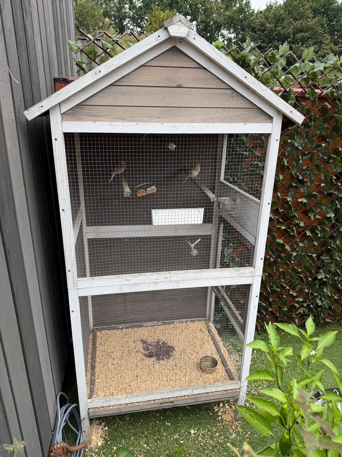 Voliere / vogel kooi/ Vogelhok, Ophalen, Zo goed als nieuw, Hout, Volière
