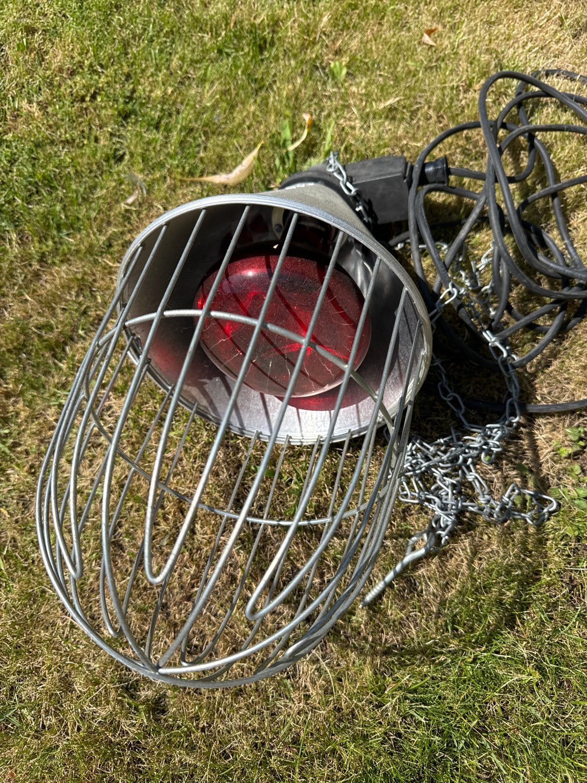 Warmtelamp dieren, Ophalen