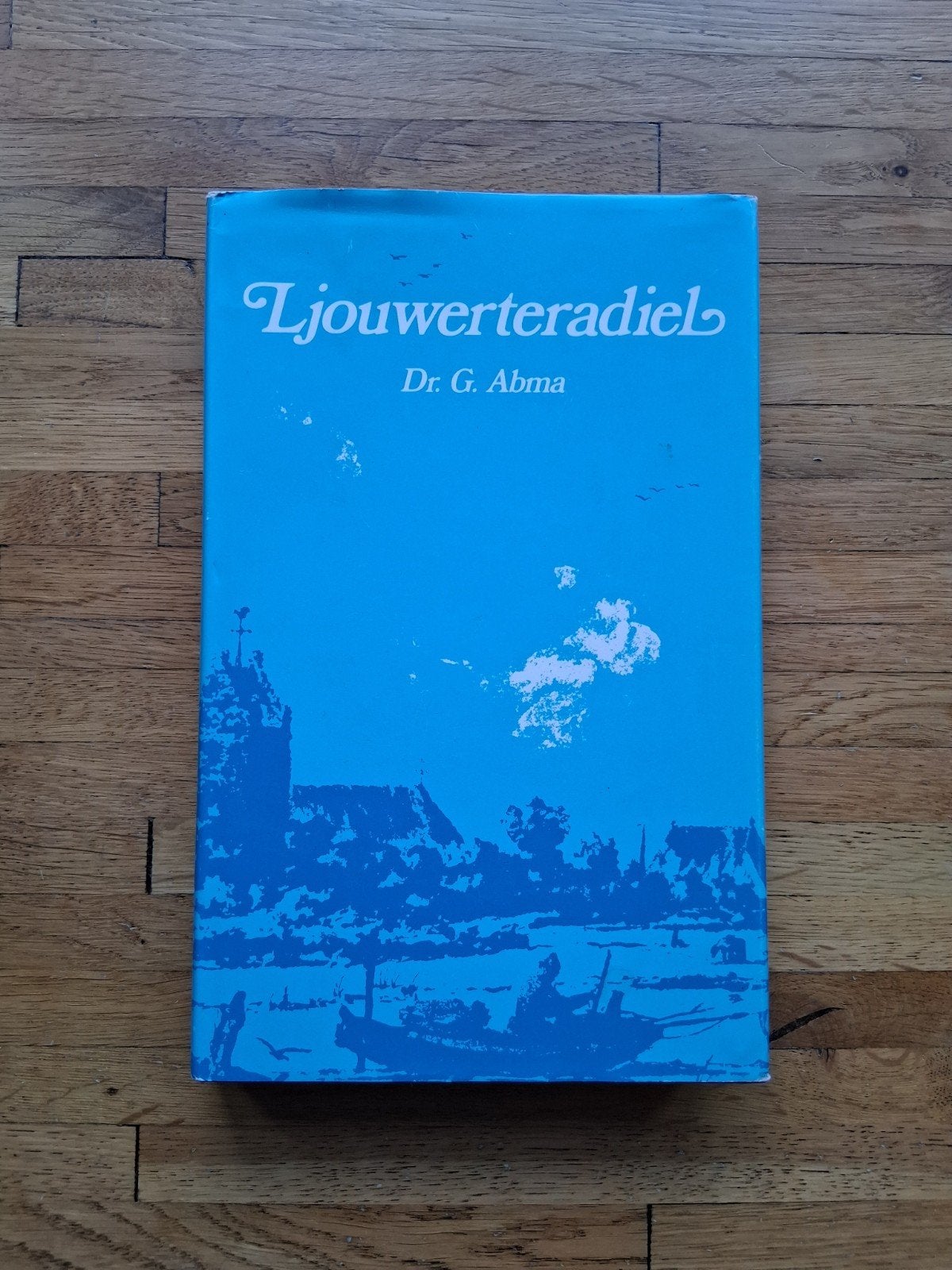 ljouwerteradiel geschiedenis stad Leeuwarden histo, Ophalen of Verzenden, Zo goed als nieuw