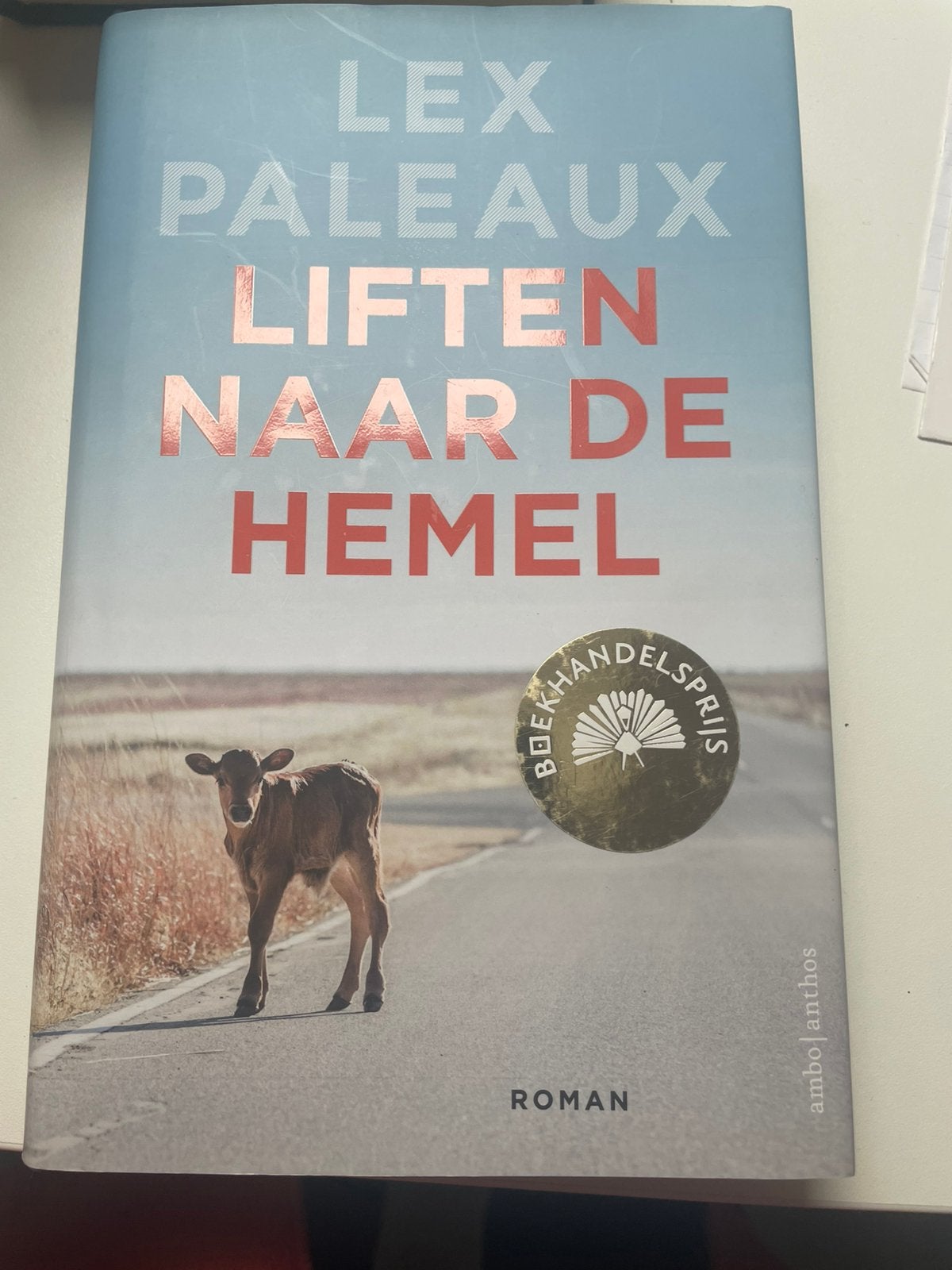 Lex Paleaux - Liften naar de hemel, Ophalen of Verzenden, Zo goed als nieuw, Lex Paleaux