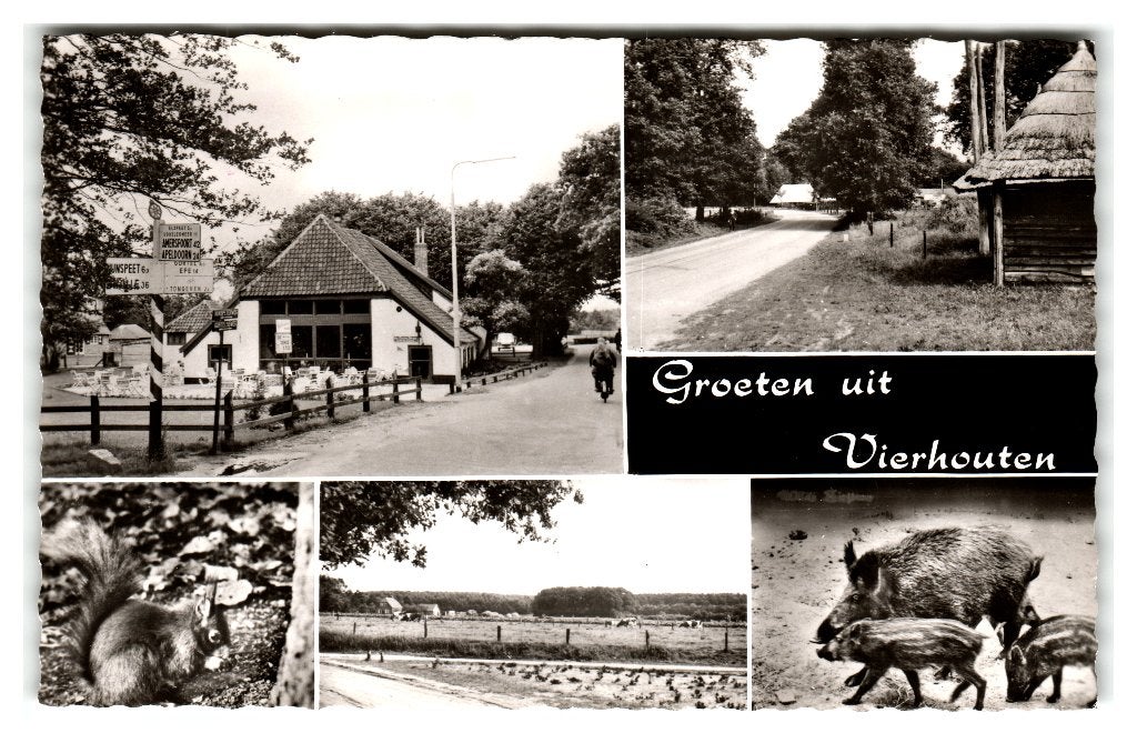 Vierhouten, Groeten uit Vierhouten - Opruimingskaart, Verzenden, 1960 tot 1980, Gelopen, Gelderland