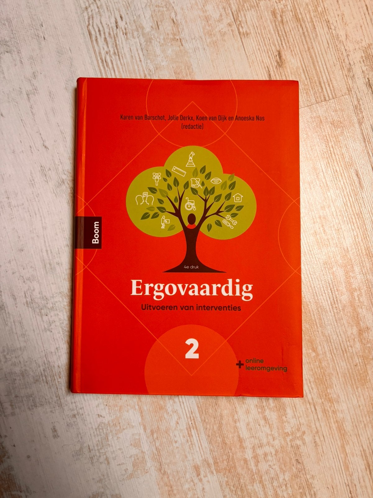 Ergovaardig deel 2 (opleiding ergotherapie), Boeken, Ophalen of Verzenden, Beta, Zo goed als nieuw, HBO