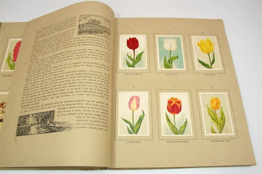 De Bloemenvelden — Het Klaverblad Album — Compleet [1918], Boeken, Prentenboeken en Plaatjesalbums, Ophalen of Verzenden, Gelezen