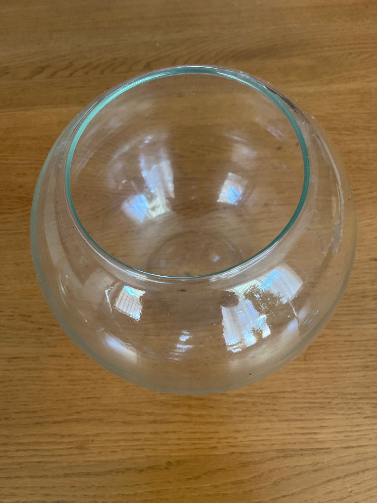 Glazen vissenkom of decoratieve schaal, Dieren en Toebehoren, Vissen | Aquaria en Toebehoren, Ophalen