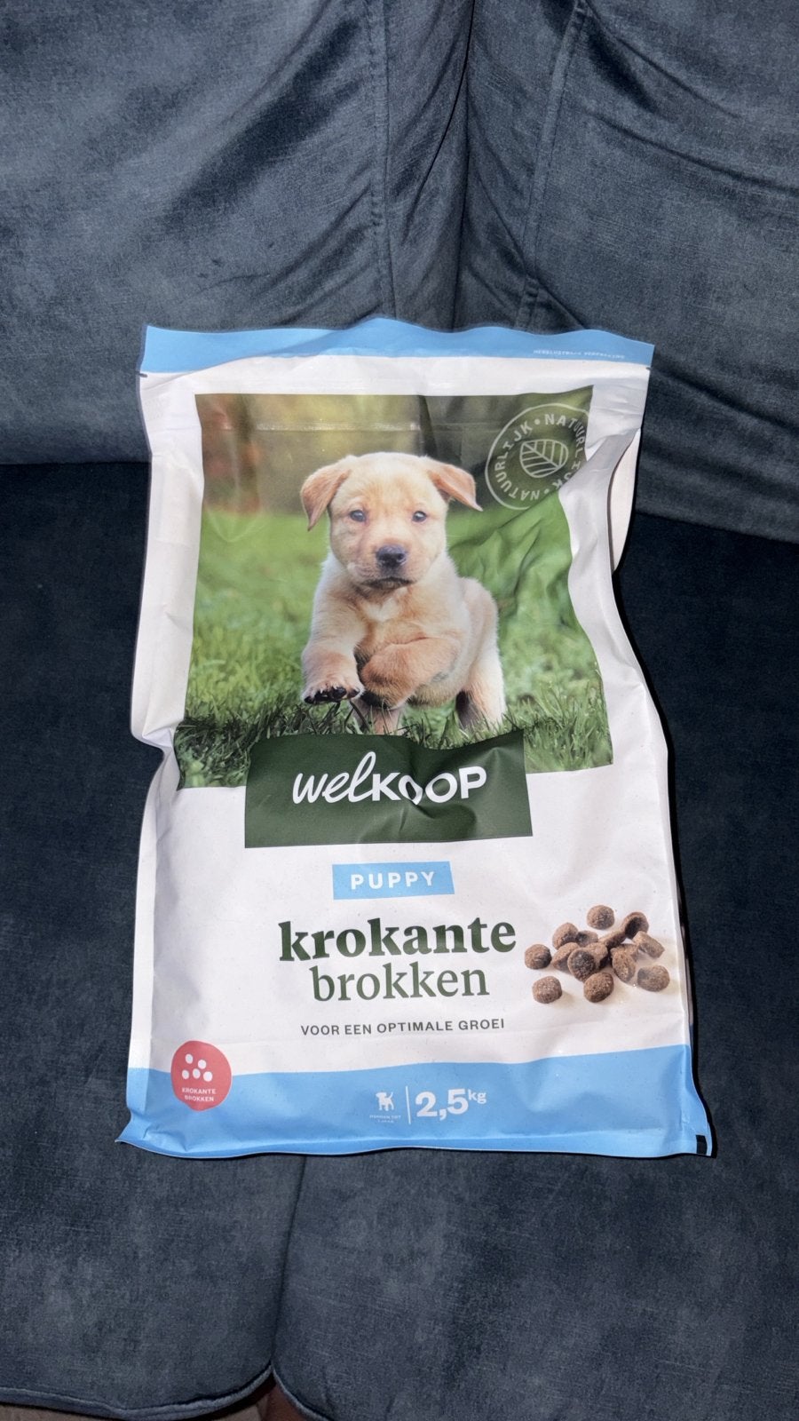 Welkoop puppy brokken, Ophalen, Hond