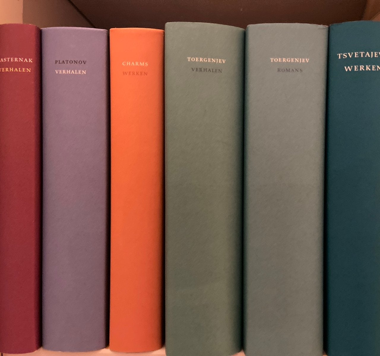Russische Bibliotheek: Pasternak Toergenjev Platonov Charms, Boeken, Ophalen of Verzenden, Zo goed als nieuw, Europa overig