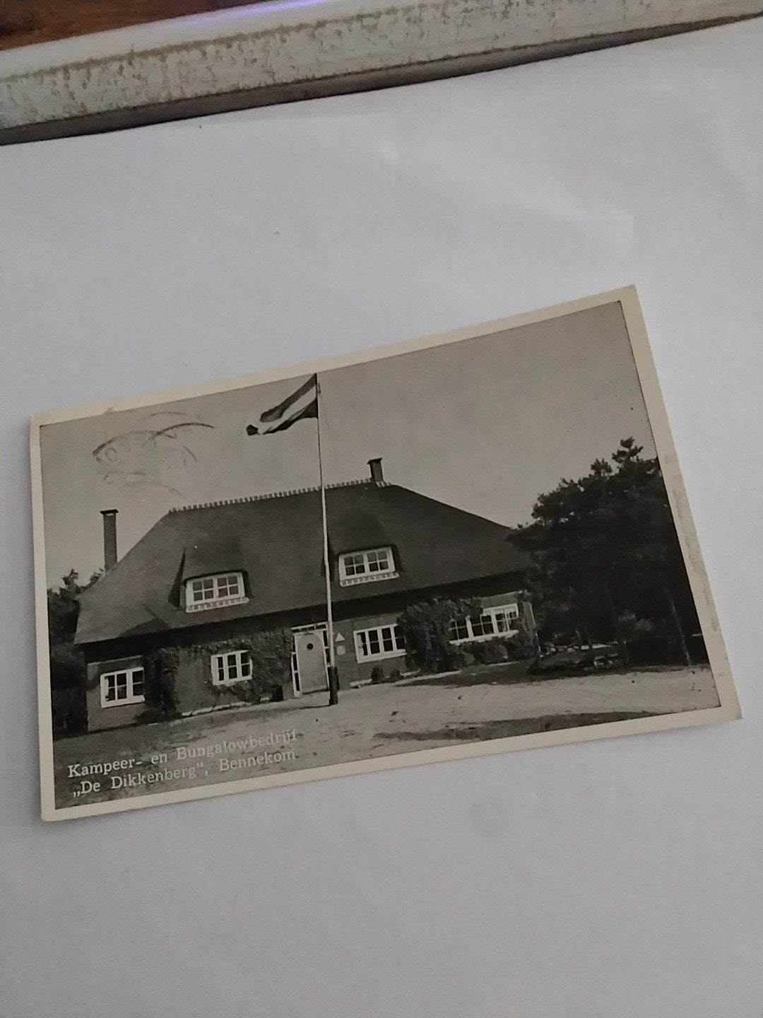 Oude ansichtkaart Kampeer- en Bungalowbedrijf "De Dikkenberg, Ophalen of Verzenden, 1960 tot 1980, Gelderland
