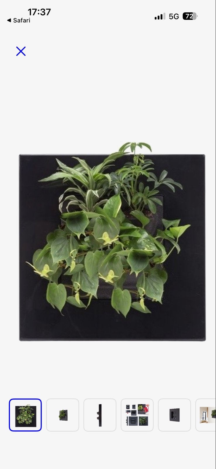 Mobilane zwarte verticale plantenbak voor binnen, Kunststof, Minder dan 60 cm, Vierkant, Ophalen of Verzenden