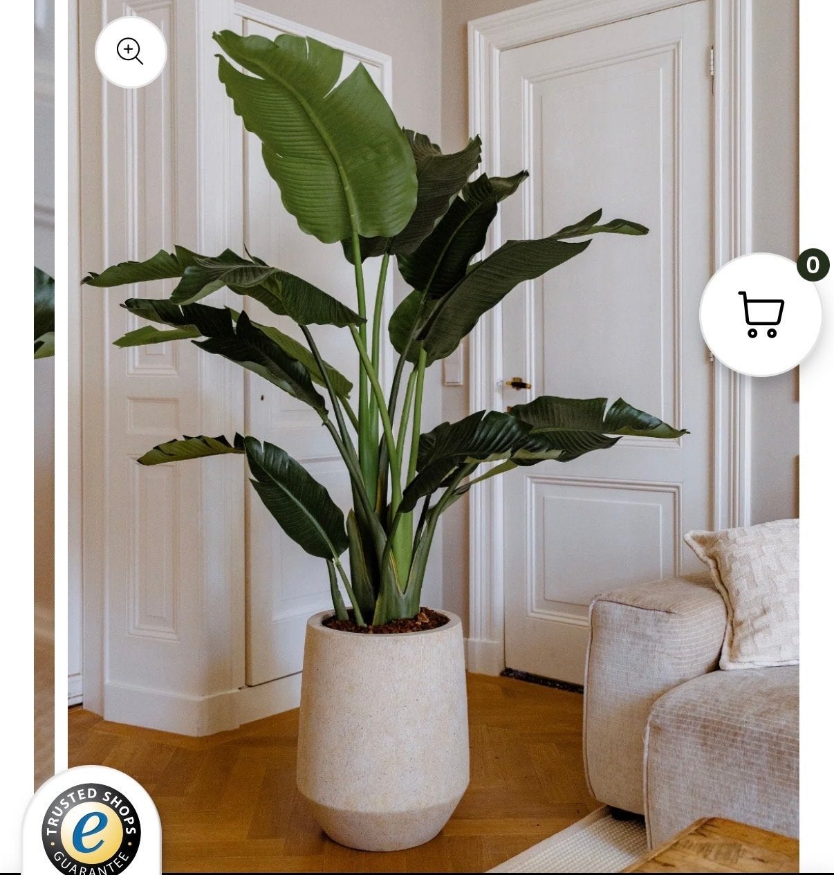 Prachtige Strelitzia Deluxe Kunstplant 170 cm - RHODEflowers, Huis en Inrichting, Ophalen, Binnen, Groen, Kunstplant