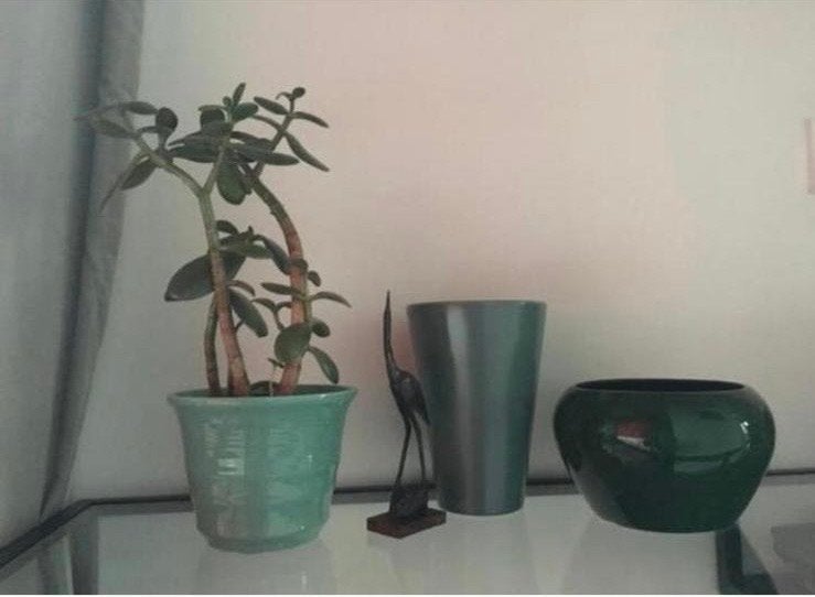 Decoratieve groene vintage jaren’50 bloempotten/bio planten, Ophalen, Gebruikt, Rond, Binnen