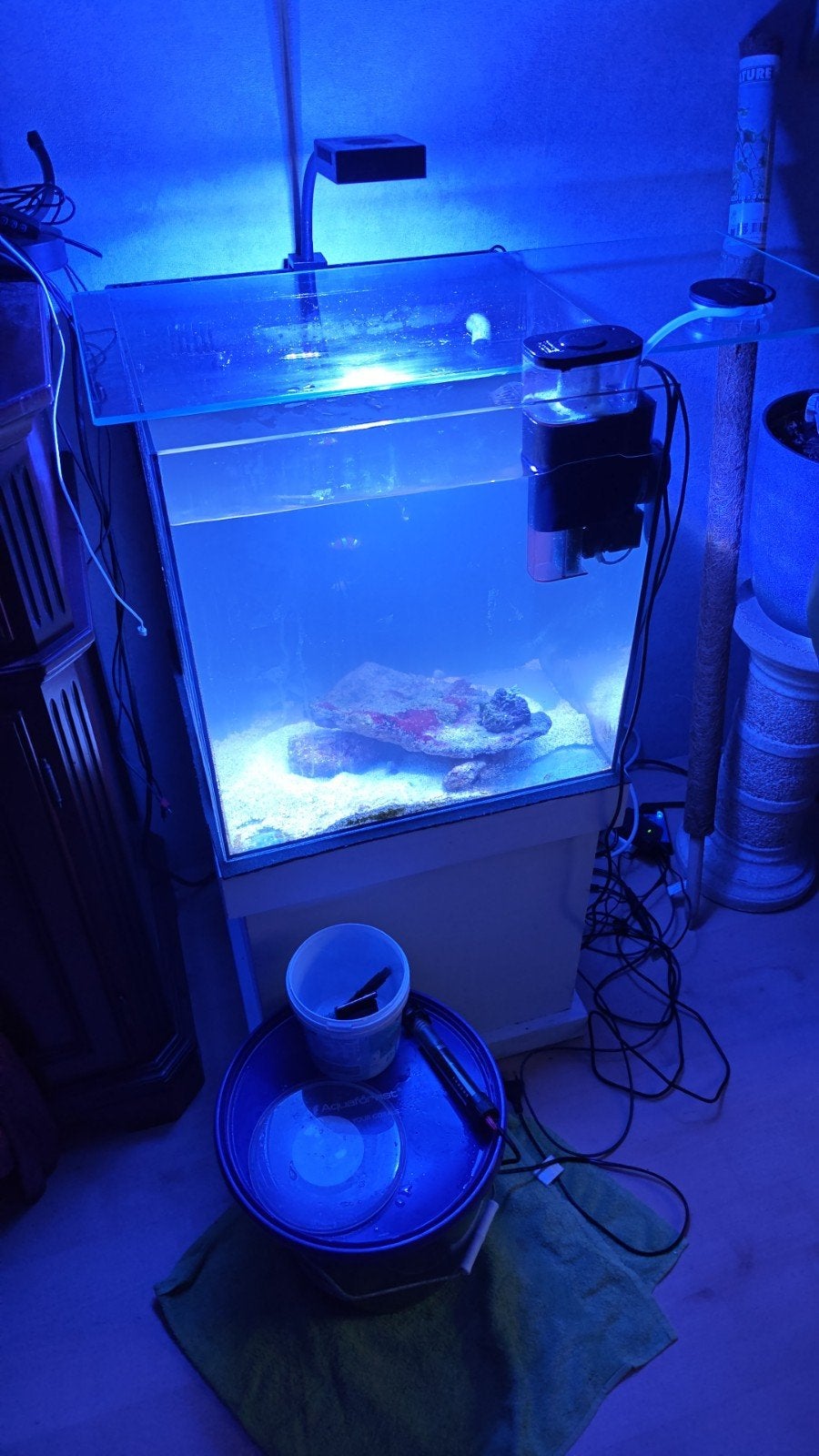 Aquarium Aqua medic 90 liter, Ophalen, Gebruikt, Leeg aquarium, Inclusief toebehoren