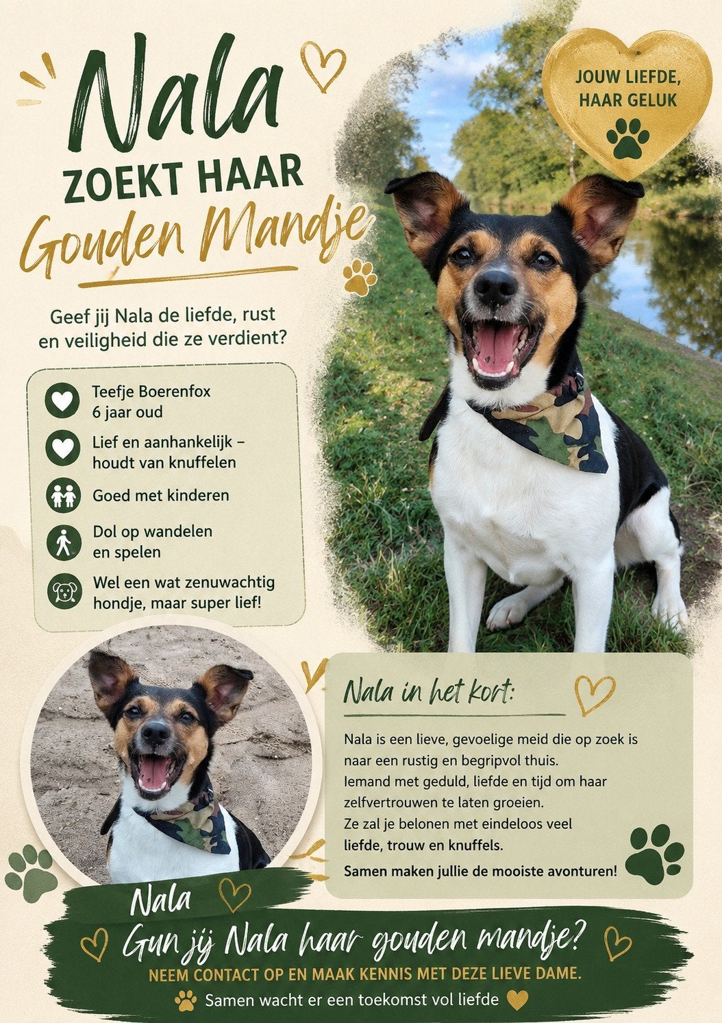 Gouden mandje gezocht voor Nala, 6 jaar of ouder, Overige rassen, Teef, Parvo
