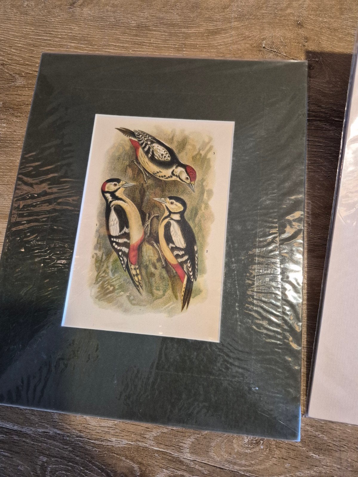 Natuurhistorische prenten 3x, Ophalen