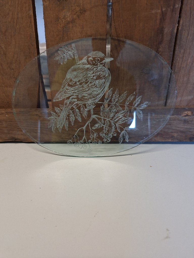 Mooi geslepen glas met vogel op tak (22x15 cm), Ophalen