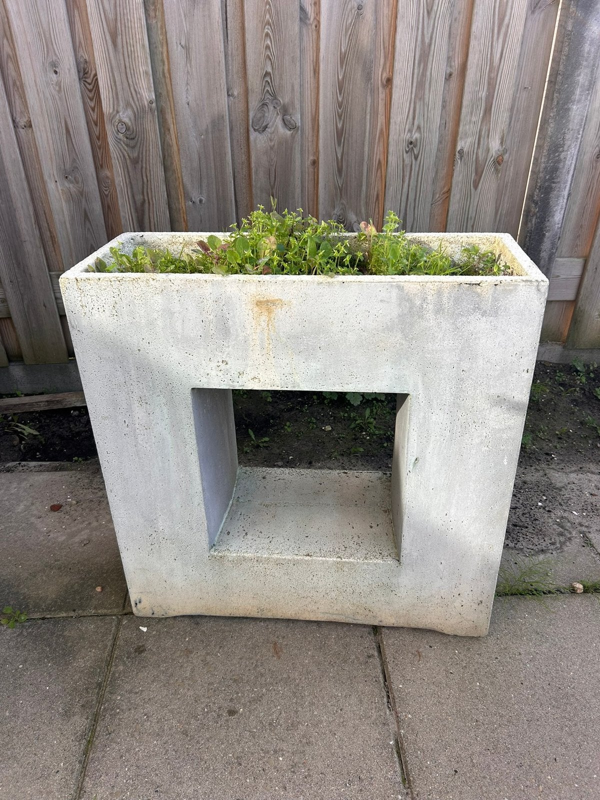 Betonnen plantenbak, Ophalen, Gebruikt, Minder dan 60 cm, Binnen