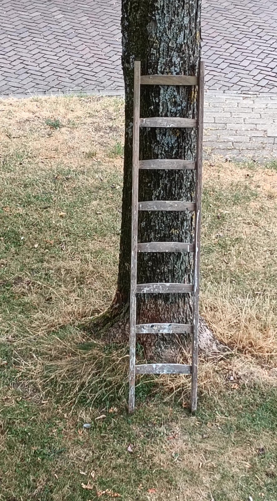 Siertrap/ ladder, Doe-het-zelf en Verbouw, Ladders en Trappen, 4 meter of meer, Ophalen