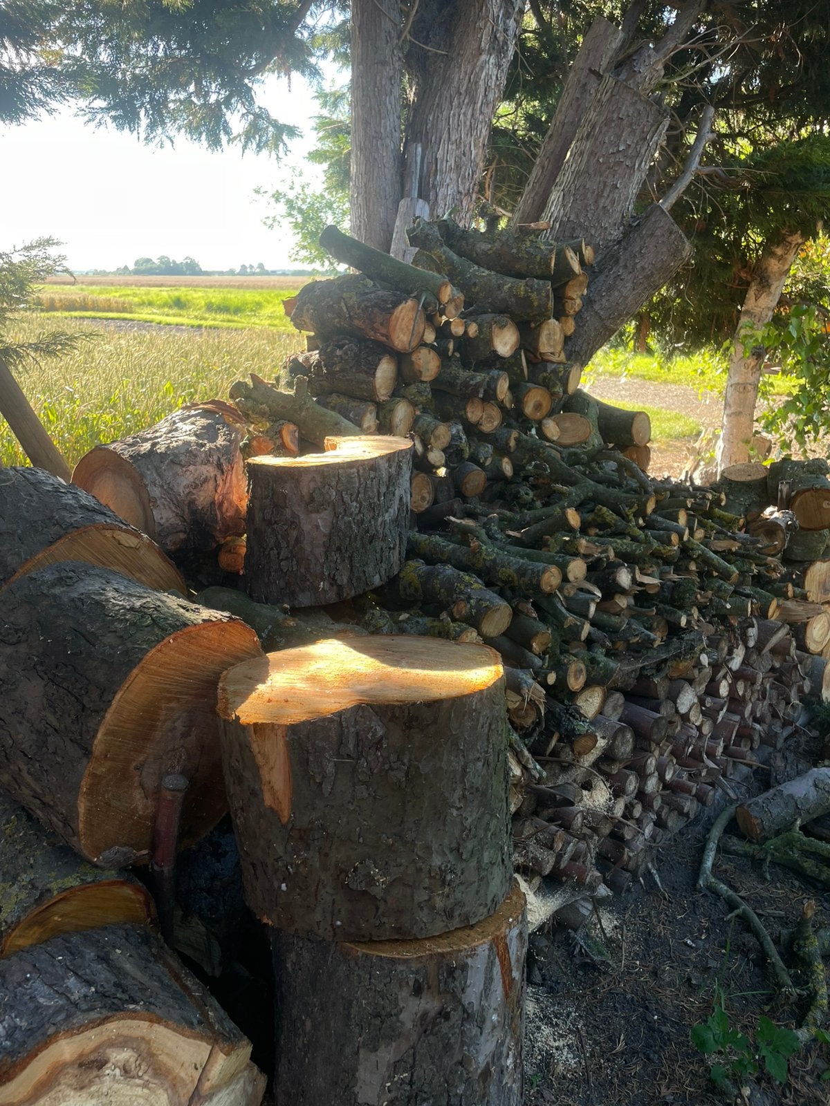 Appelhout/appelboomhout, Tuin en Terras, Minder dan 3 m³, Ophalen, Blokken